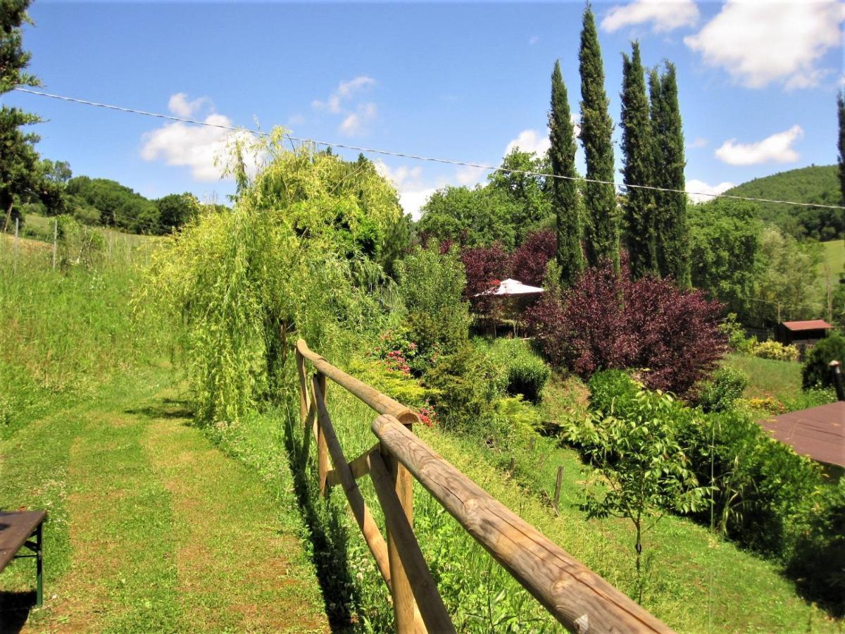 La Pietra Rara B&B Montone  Εξωτερικό φωτογραφία