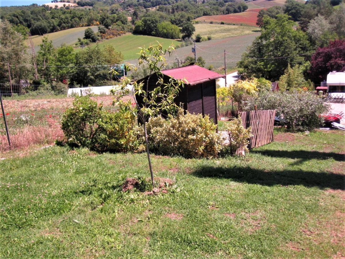 La Pietra Rara B&B Montone  Εξωτερικό φωτογραφία