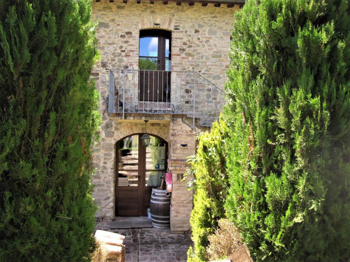 La Pietra Rara B&B Montone  Εξωτερικό φωτογραφία